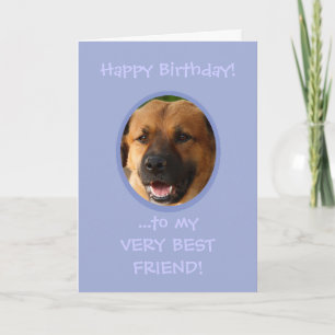 Funny Birthday From Dog To Owner Custom Photo Card