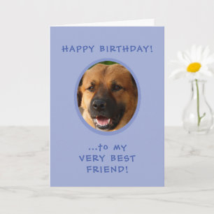 Funny Birthday From Dog To Owner Photo Card