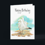 Funny Birthday, From the Gang of Seagulls, birds Card<br><div class="desc">Funny Birthday,  From the Gang of Seagulls</div>