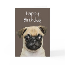 Funny, Birthday Happy Pug Dog Humour