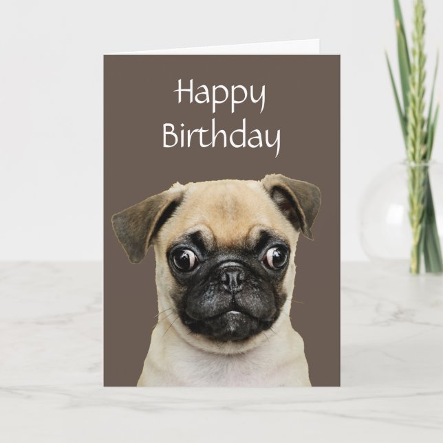 Funny, Birthday Happy Pug Dog Humour Card (Front)