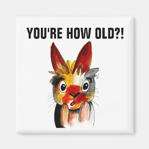 FUNNY BIRTHDAY MAGNETS, YOU'RE HOW OLD?! MAGNET