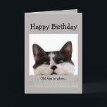 Funny Birthday Old Age Over the Hill, Cat Humour Card<br><div class="desc">Old age is when it takes longer to get over a good time than to have it.  Fun Cat Birthday Humour.</div>