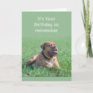 Funny Birthday Old & Wrinkly Dog Age Card