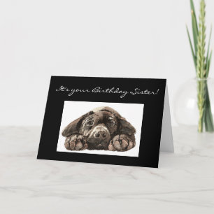 Funny Birthday Sister, Sad Dog, Labrador Retriever Card