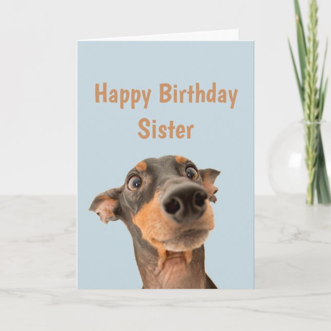 Funny Birthday Sister Shocked Dog Animal Humour Card (Front)