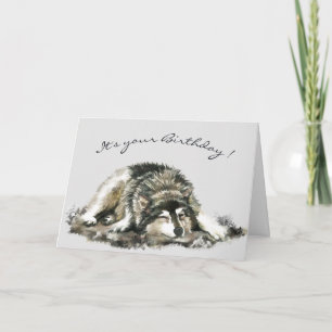 Funny Birthday Tired Napping Husky Dog Card