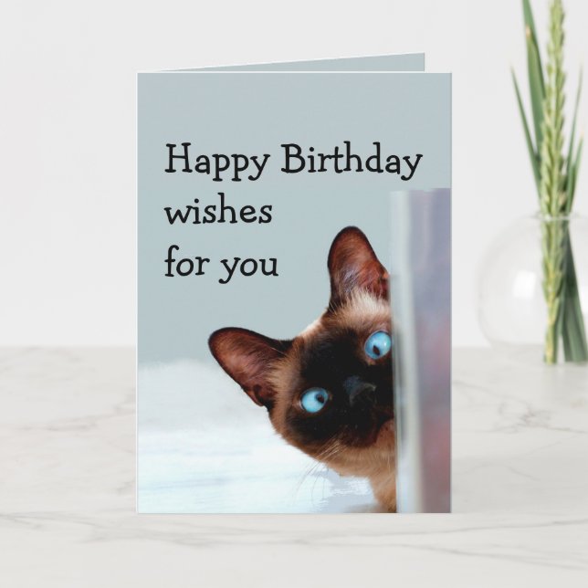 Funny Birthday Wishes Siamese Cat Animal Humour Card (Front)