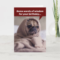 Funny Birthday Words Of Wisdom From A Noble Pug