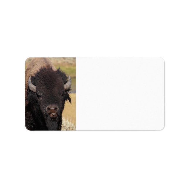 funny bison label (Front)