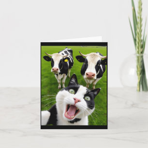Funny Black And White Cat Cow Selfie  Card