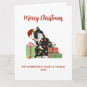 Funny Black Cat and Lights Christmas  Card