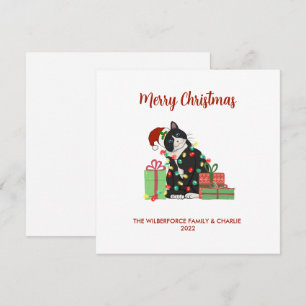 Funny Black Cat and Lights Christmas Holiday Card