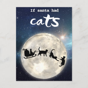 Funny black cat Santa Christmas Holiday Postcard