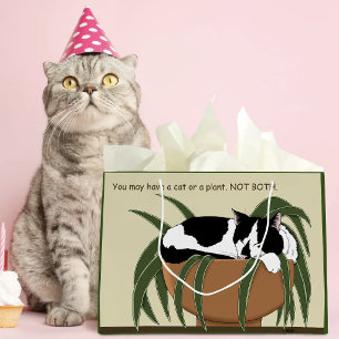 Funny Black White Tuxedo Cat Sleeping Houseplant Large Gift Bag