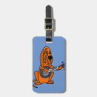 Funny Bloodhound Playing Banjo