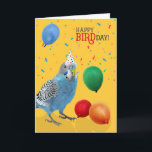 Funny Blue and White Budgie Parakeet Birthday Card<br><div class="desc">Budgies are popular pets,  being small and sweet parakeets in a varying palette of colors and markings. This cute blue and white Budgerigar sends happy BIRDday wishes to the bird person in your life.</div>