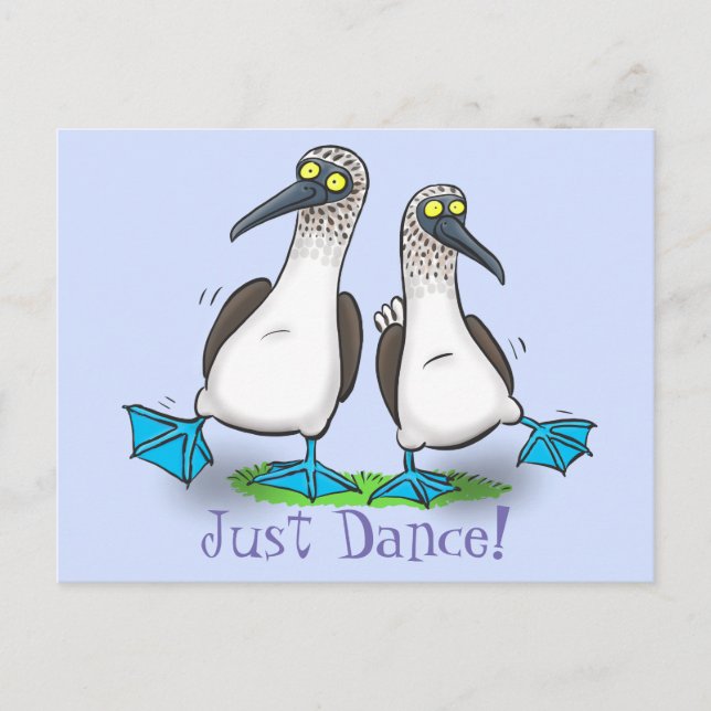 Funny blue footed boobies seabird dancing cartoon postcard (Front)