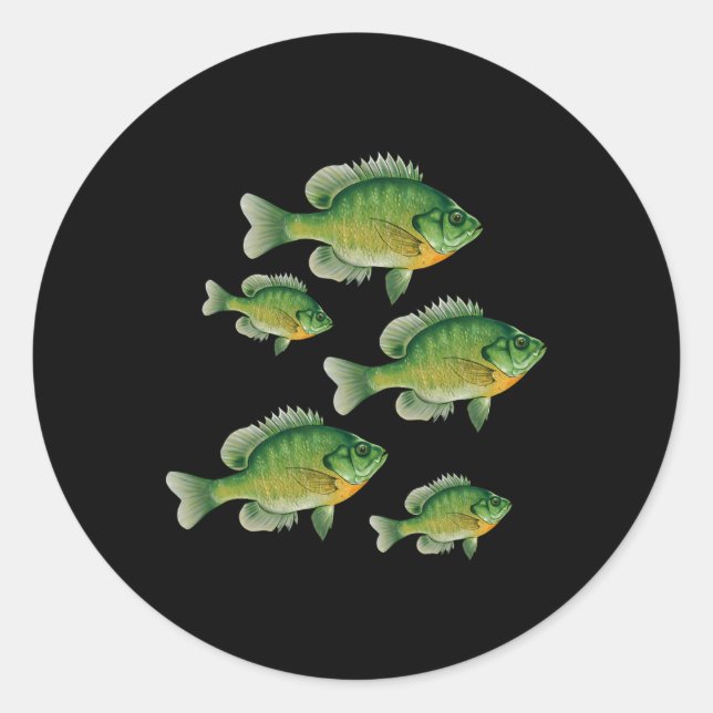 Funny Bluegill Sunfish Fishing Freshwater Fish Ang Classic Round Sticker (Front)