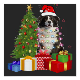 Funny Border Collie Christmas Tree Merry Christmas Poster