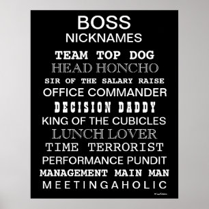 Funny Boss Nicknames and Job Titles Office Poster