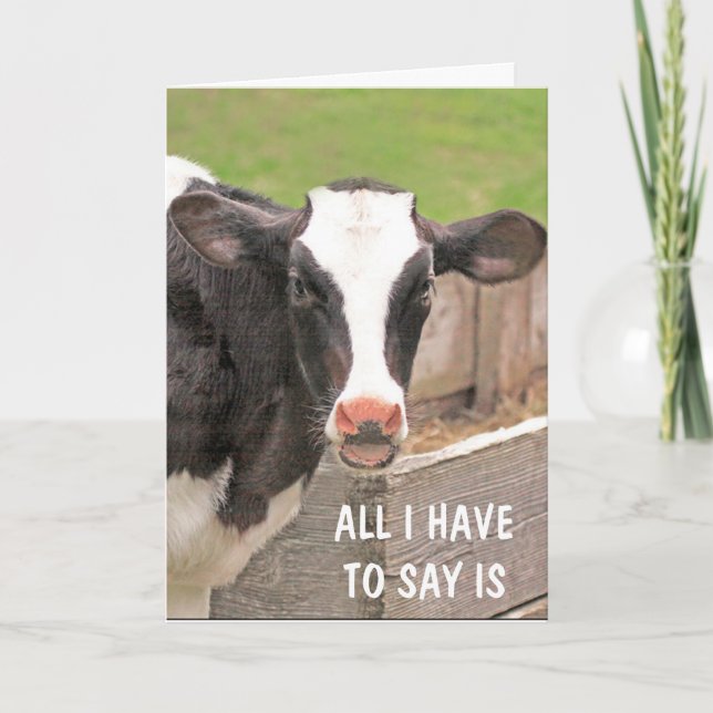 Funny Bossy Cow Get Well Card (Front)