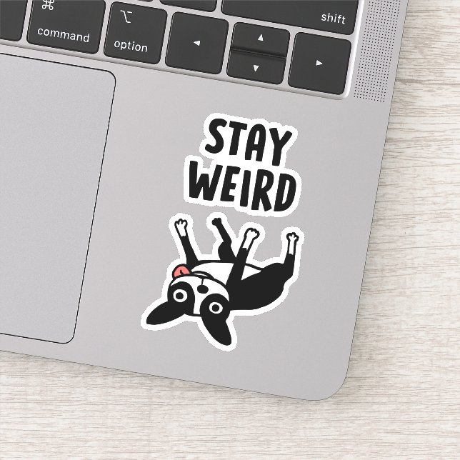 Funny Boston Terrier Stay Weird Dog (Detail)