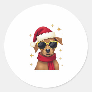 Funny Boxer Dog Christmas Lights Xmas Outfit Pajam Classic Round Sticker