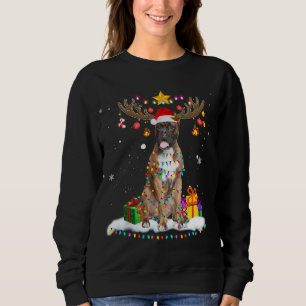 Funny Boxer Dog Christmas Reindeer Christmas Light Sweatshirt