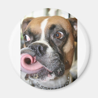 Funny Boxer Dog Magnet