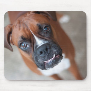 Funny boxer dog mouse mat