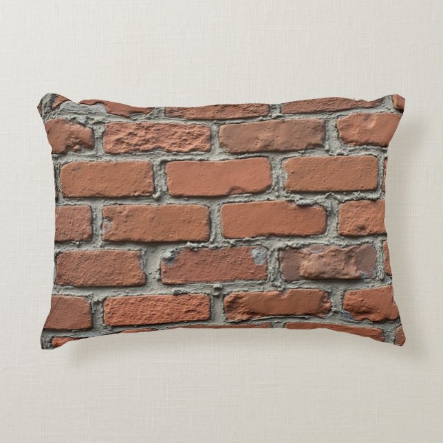 funny brick pillow  (Front)