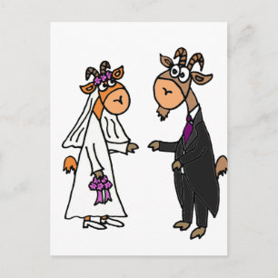 Funny Bride and Groom Goat Wedding Postcard