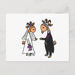 Funny Bride and Groom Goat Wedding Postcard