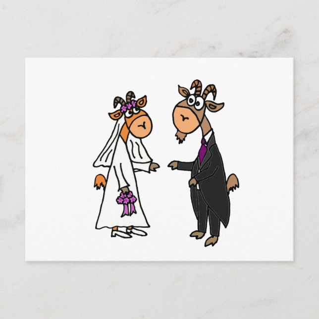 Funny Bride and Groom Goat Wedding Postcard (Front)