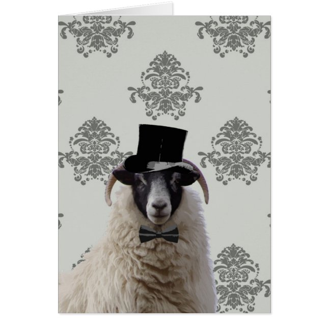 Funny bridegroom sheep in top hat (Front)
