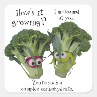 Funny Broccoli Talk Square Sticker
