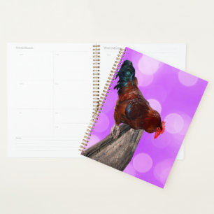 Funny Brown Rooster On A Fence Planner