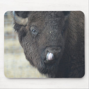 Funny Buffalo Mouse Mat