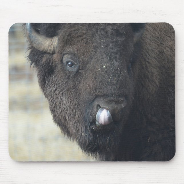 Funny Buffalo Mouse Mat (Front)