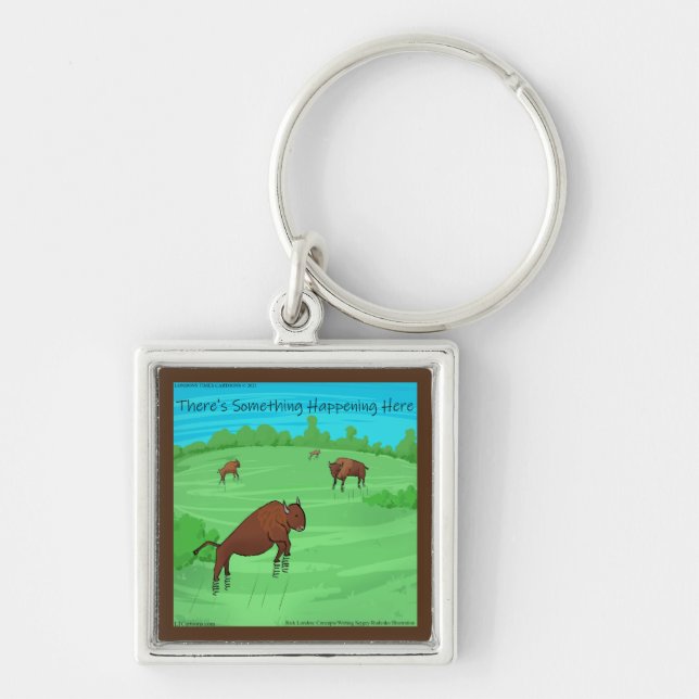 Funny Buffalo Springfield For What Its Worth  Key Ring (Front)