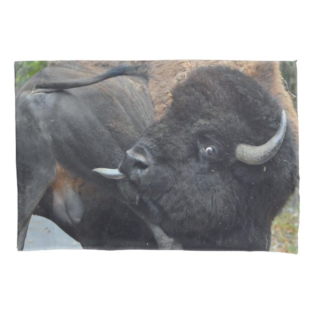 Funny Bull Bison Licking His Testicles Pillowcase (Front)