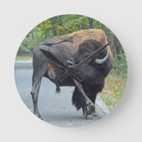 Funny Bull Bison Licking His Testicles