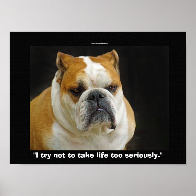 Funny Bull Dog Pet-lovers Demotivational Poster (Front)