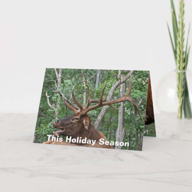 Funny Bull Elk Christmas Holiday Card (Front)