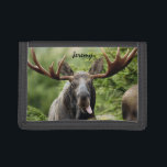 Funny Bull Moose Tongue     Trifold Wallet<br><div class="desc">A bull moose with a nice rack is sticking out his tongue on this fun design.</div>