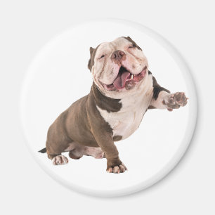 Funny Bulldog American Bully Love Puppy Dog  Magnet