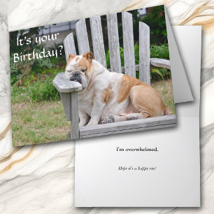 Funny Bulldog Birthday Card