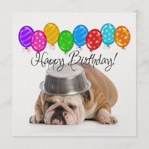 Funny Bulldog Birthday Invitation - SRF