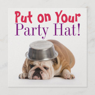 Funny Bulldog Birthday Invitation - SRF
